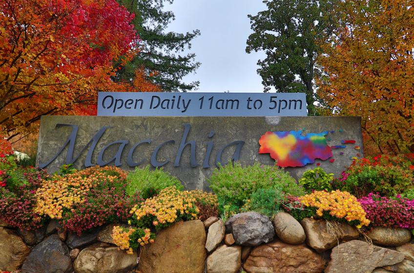 macchia-winery-visit-lodi