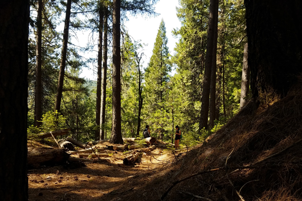 Root Creek Falls | VisitRedding.com