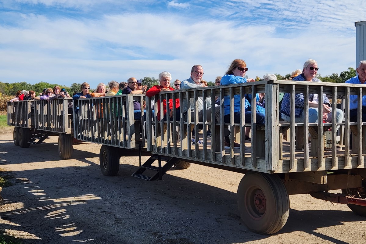 Skelly's Corn Maze & Fall Festival Skelly's Corn Maze & Fall Festival