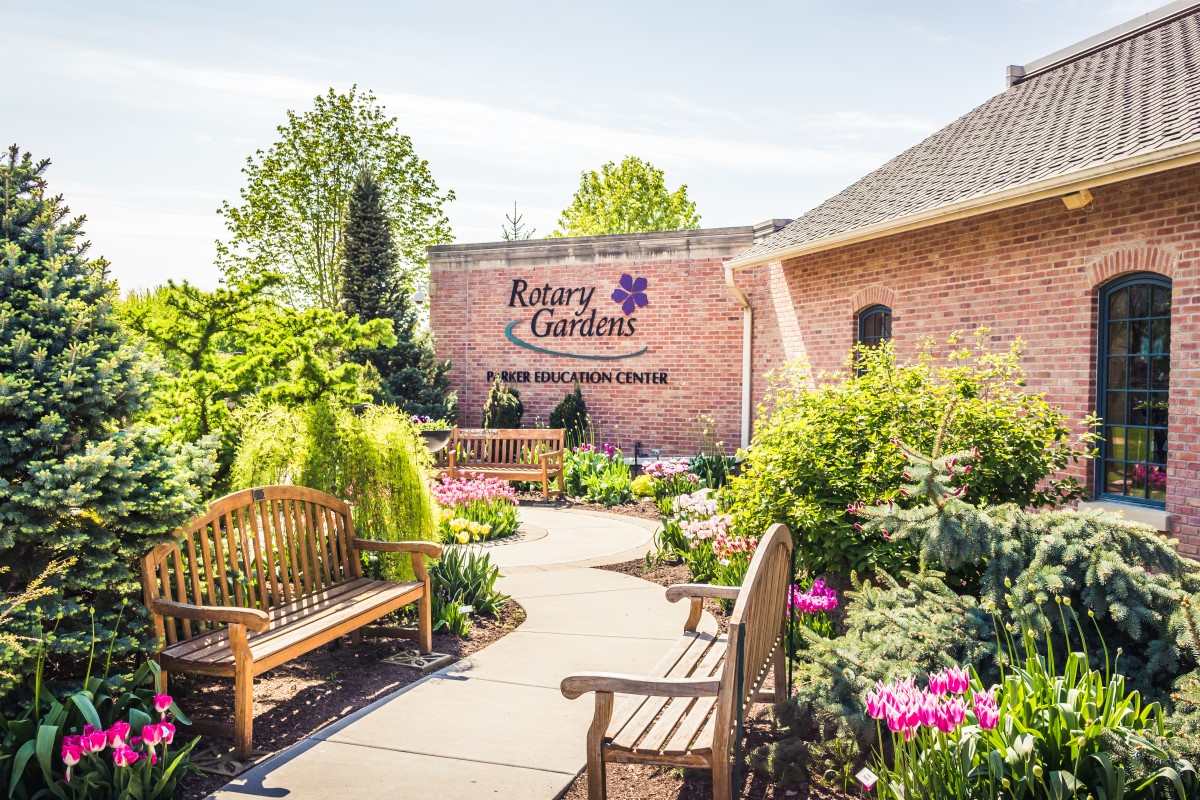 Beginner Watercolor Workshop Beginner Watercolor Workshop