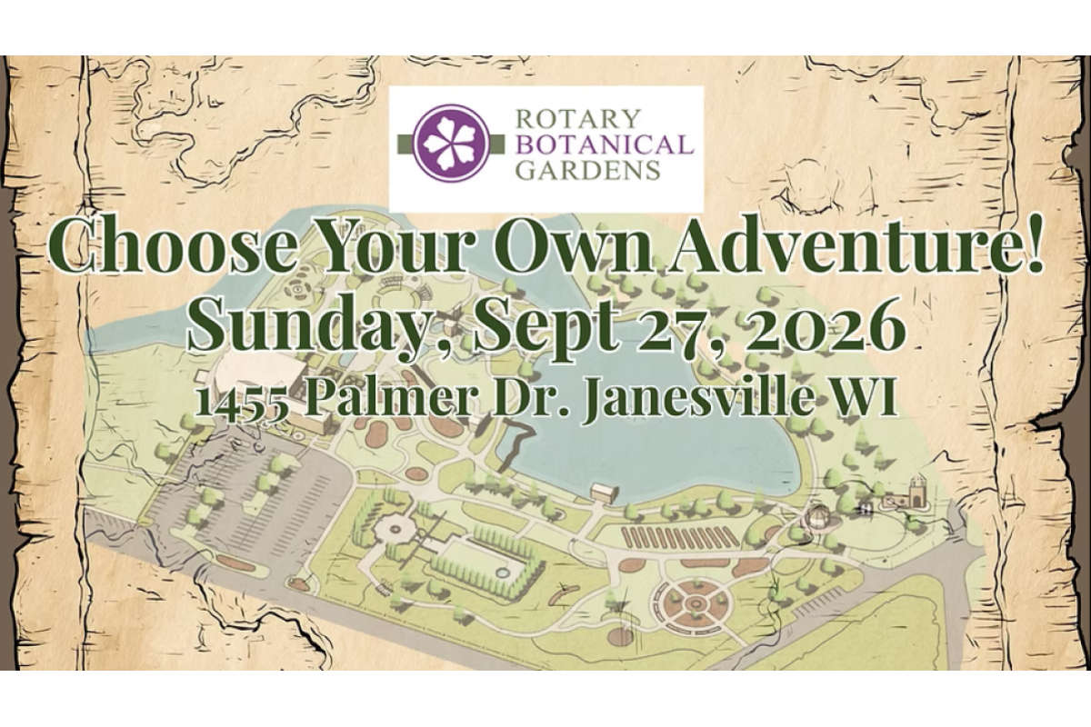 Choose Your Own Adventure Day Choose Your Own Adventure Day