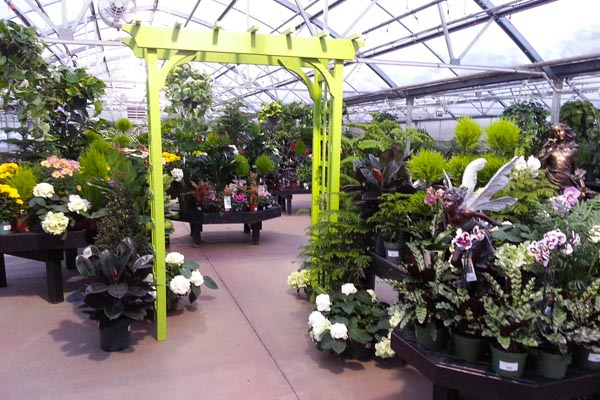 Photos with Santa Photos with Santa