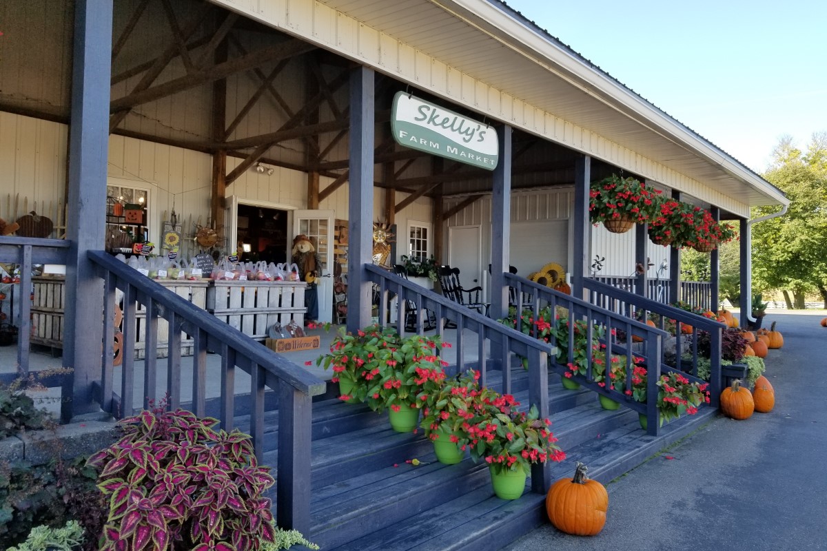 Skelly's Corn Maze & Fall Festival Skelly's Corn Maze & Fall Festival