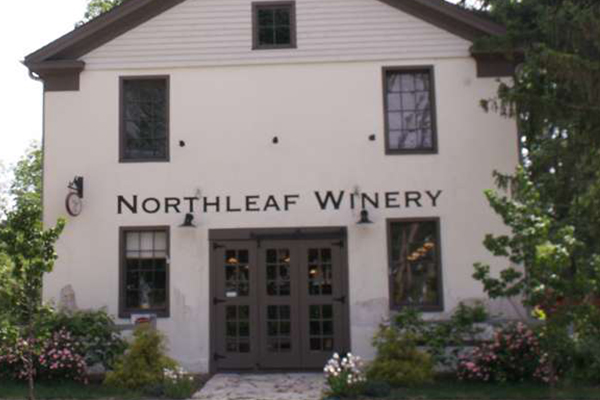 Mystics & Tarot at Haven's Mystics & Tarot at Haven's