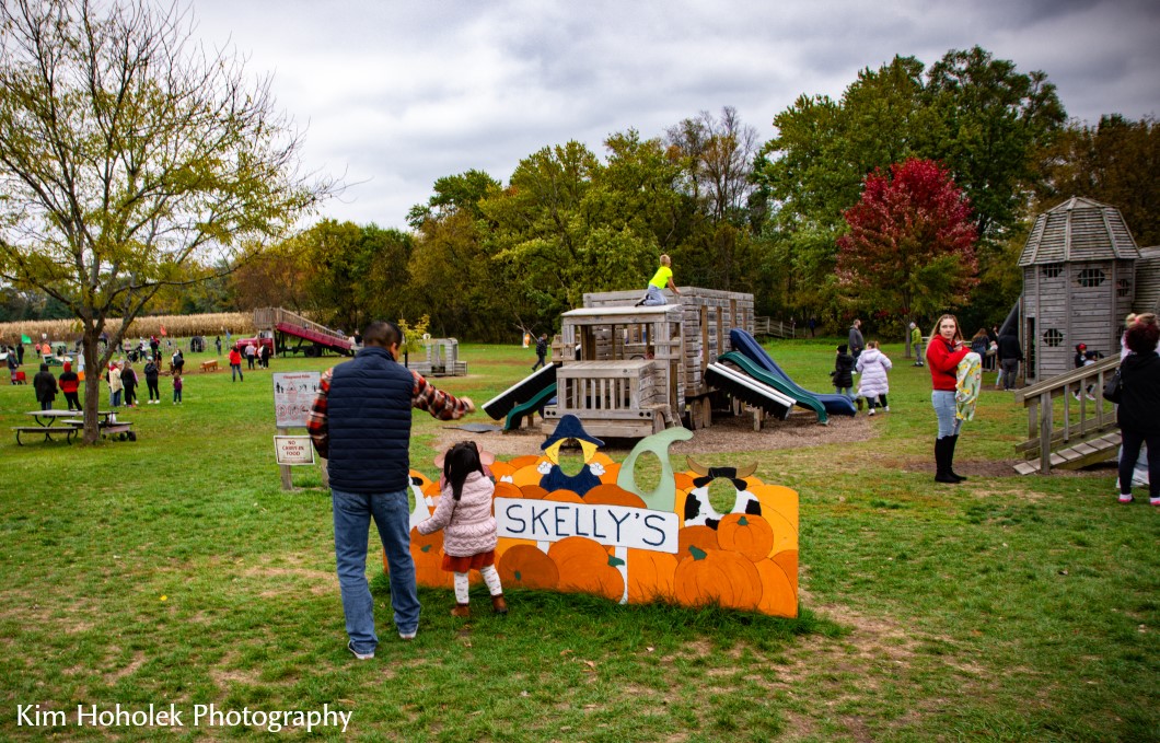 Skelly's Corn Maze & Fall Festival Skelly's Corn Maze & Fall Festival