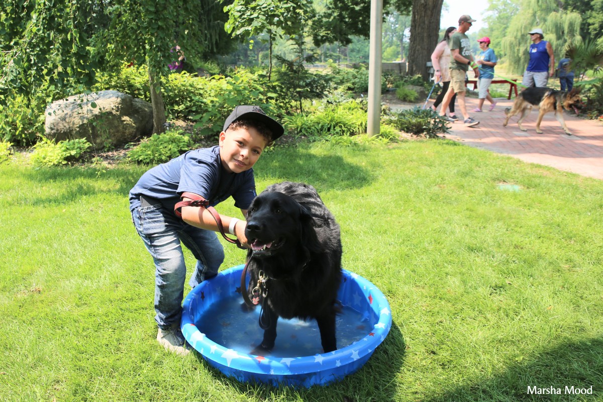 Dog Days of Summer Dog Days of Summer