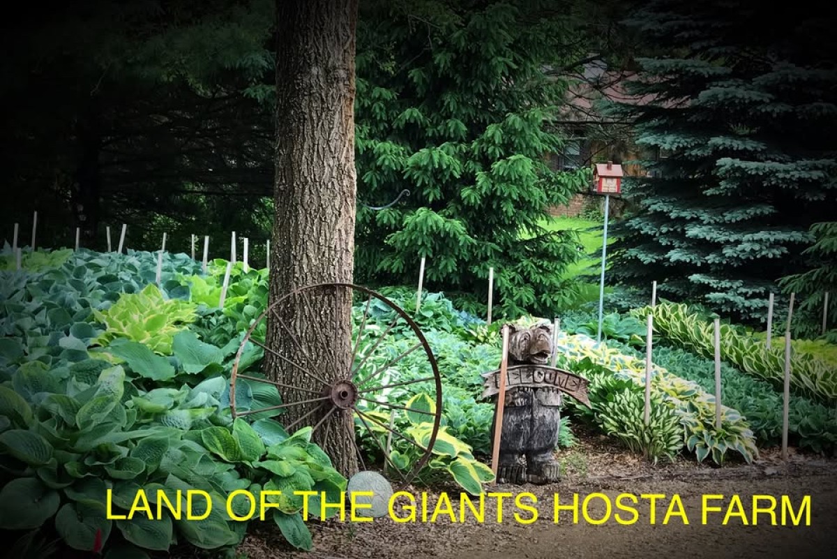 Land of the Giants Open Garden Days Land of the Giants Open Garden Days