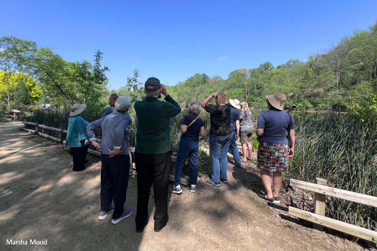 Naturalists in the Garden: Bird Watching Naturalists in the Garden: Bird Watching