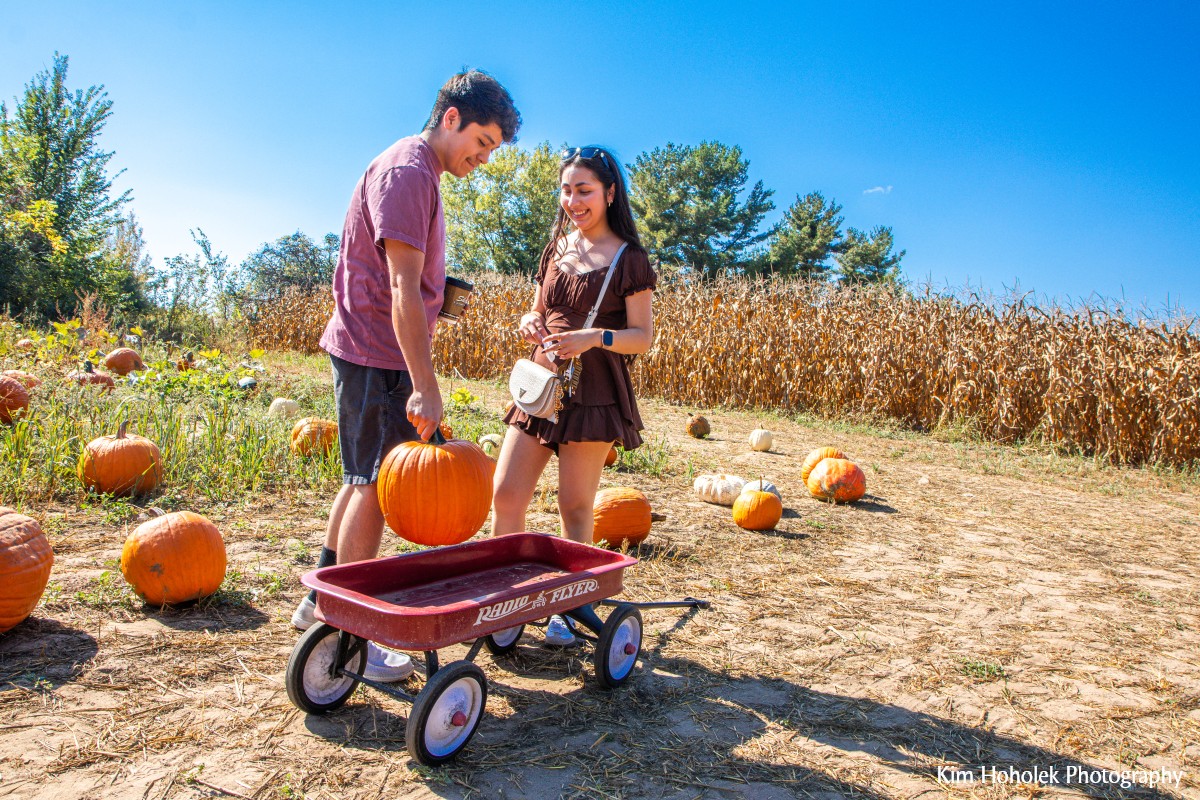 Skelly's Corn Maze & Fall Festival Skelly's Corn Maze & Fall Festival