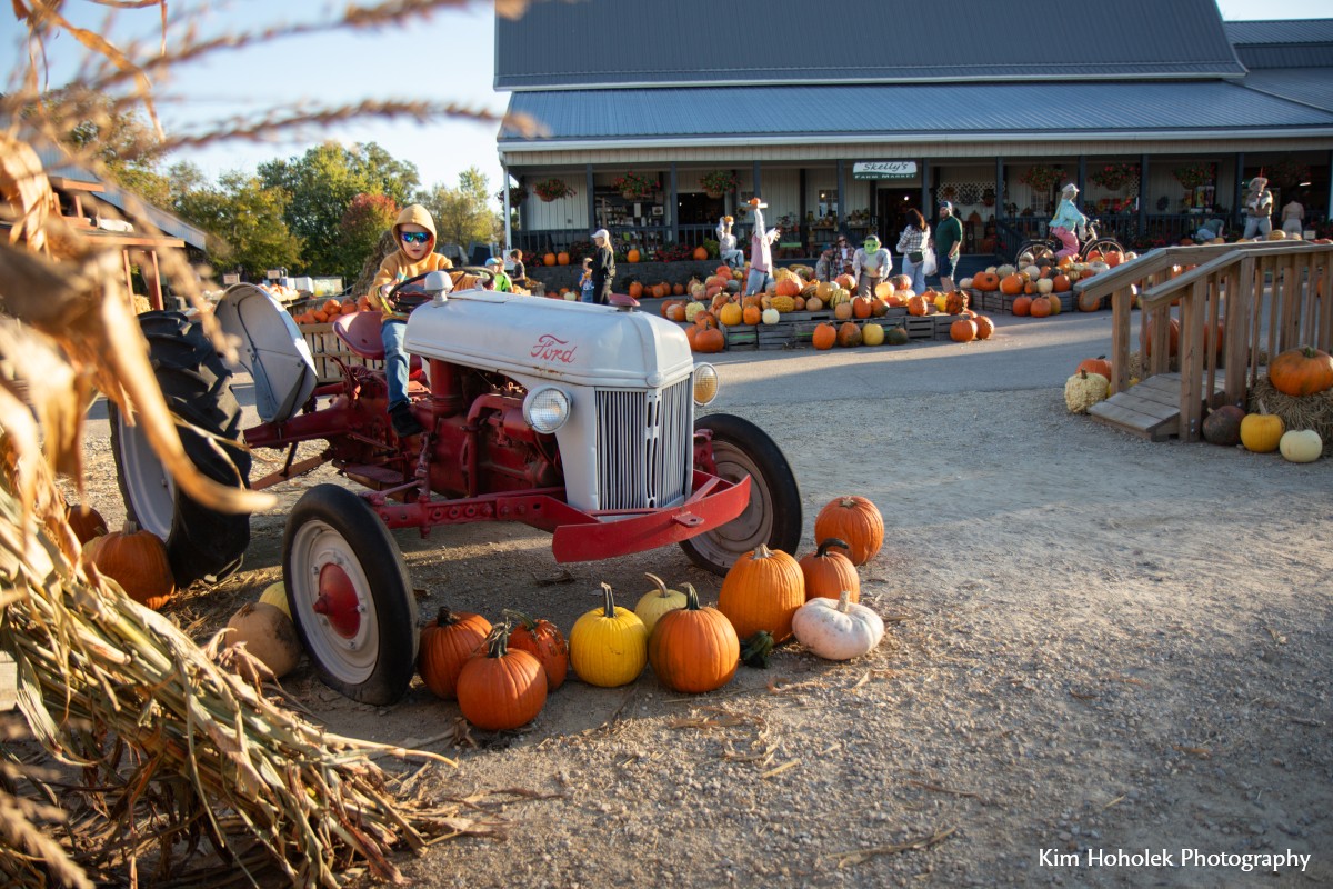 Skelly's Corn Maze & Fall Festival Skelly's Corn Maze & Fall Festival