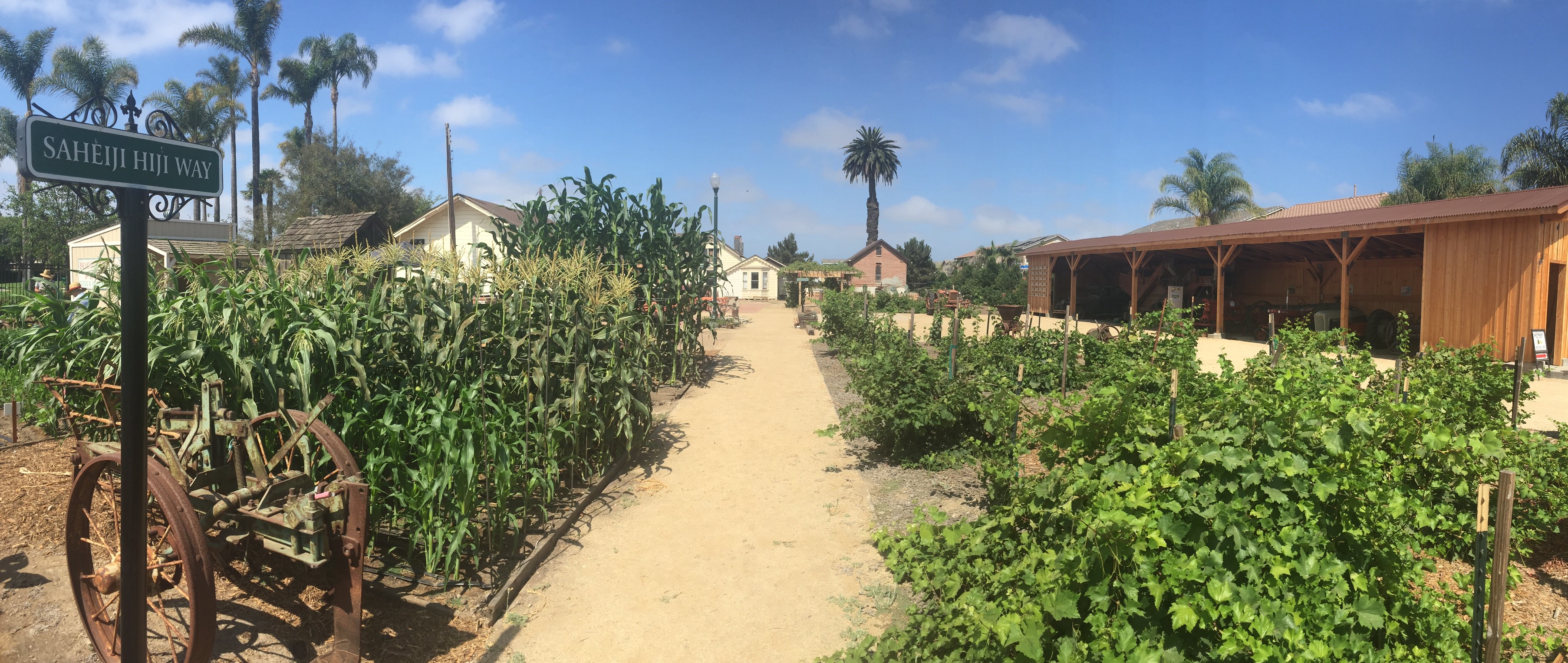 Ventura County Farm Day at Oxnard Historic Farm Park