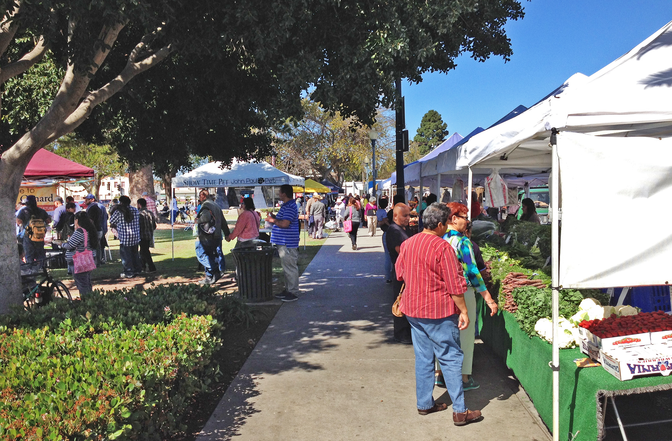 Farmer’s Market – Downtown