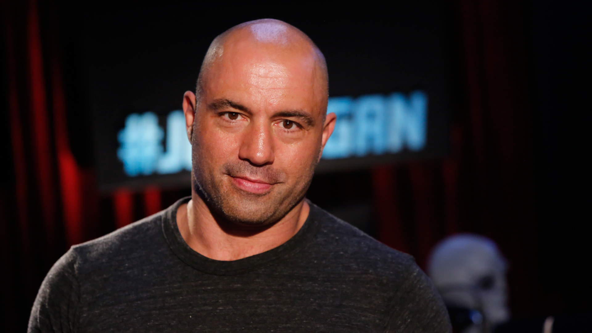 Joe Rogan at Levity Live