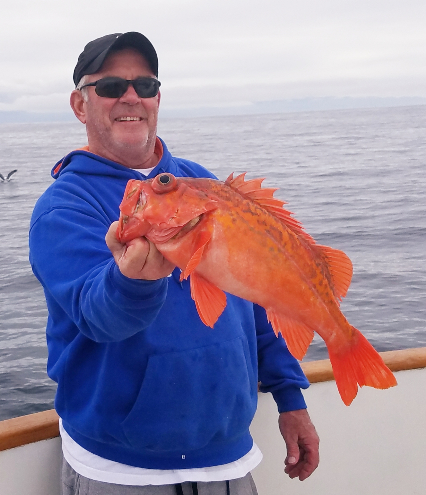 Channel Islands Sportfishing - Visit Oxnard