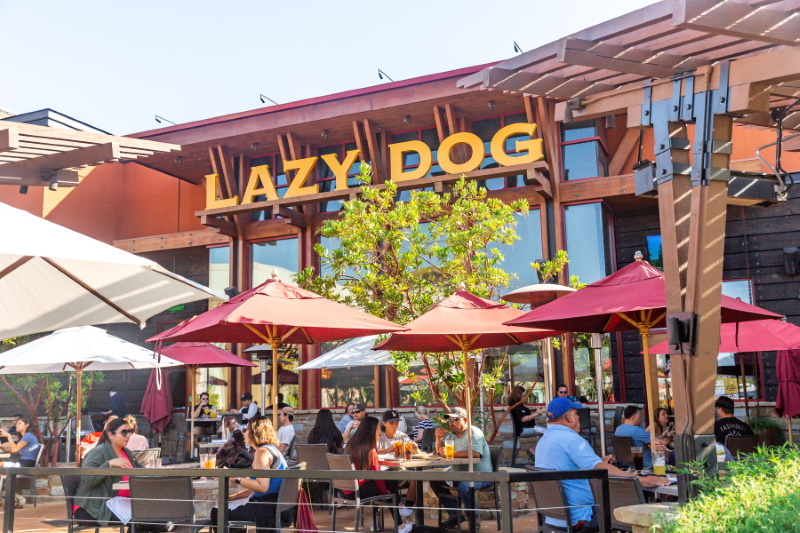 Lazy Dog Restaurant Visit Oxnard