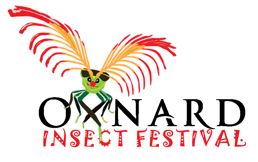 2nd Annual Insect Festival