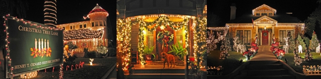 Christmas Tree Lane