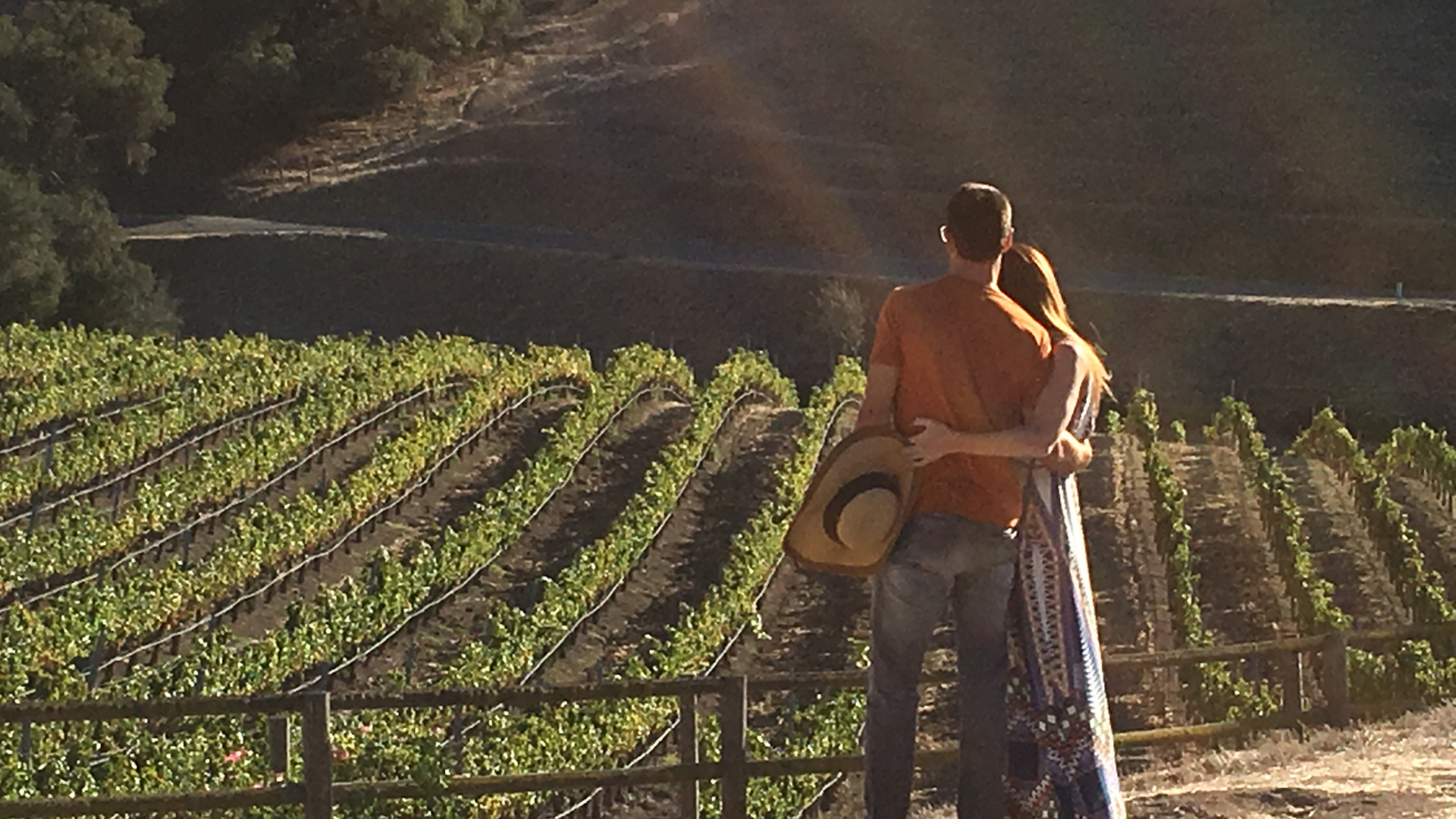 Stagecoach Co Wine Tours