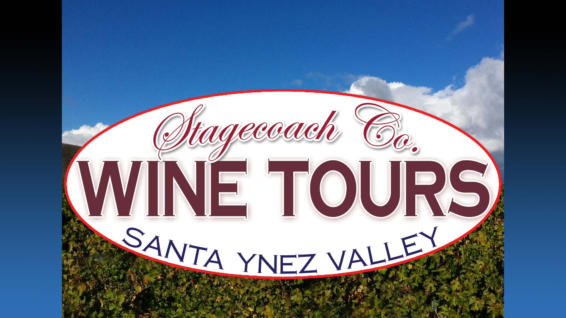 Stagecoach Co Wine Tours